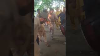 Dhol dance shorts youtubeshorts varal [upl. by Collie175]