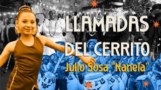 Llamadas del Cerrito 2024 [upl. by Survance578]