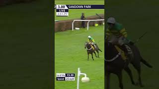 JONBON wins the Tingle Creek again horse horseracing racingtv sport britishhorseracing [upl. by Ttirrej]