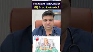 Bone Marrow Transplantation సక్సెస్ ఎంతుంటుంది  hematologist  Dr Chandrasekhar Bendi [upl. by Nivel]