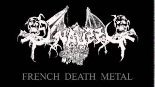 OSSUAIRE Fra Le Troubadour Necrophageophile Death metal old school France [upl. by Dwan]