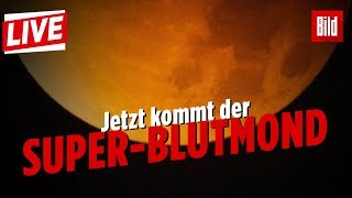 Der komplette Livestream Blutmond  Totale Mondfinsternis [upl. by Eve]