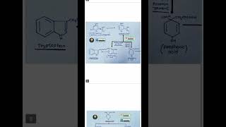 Shikimik Acid Pathwayshorts ytshorts futureofpharmacy biochemistryshort shortvideo bpharm [upl. by Leur]