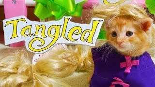 Disneys Tangled Cute Kitten Version [upl. by Sherar]