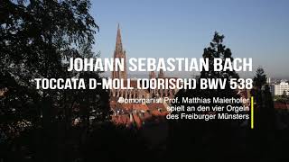 Johann Sebastian Bach Toccata dMoll dorisch BWV 538 Freiburger Münster [upl. by Montanez551]