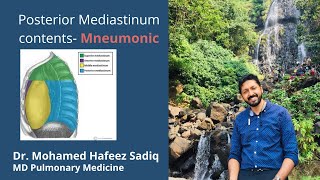 Contents of Posterior Mediastinum Mneumonic [upl. by Boyd442]