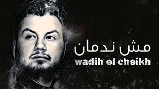 Wadih El Cheikh  Mech Nedman  وديع الشيخ  مش ندمان [upl. by Mahgem643]