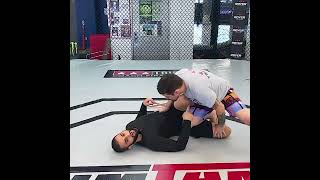 Joe Rogan amp Firas Zahabi  Jiujitsu McDojo’s [upl. by Fanni]