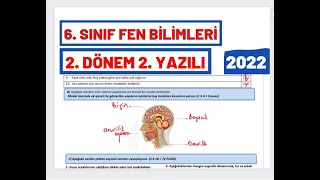 6 Sınıf Fen Bilimleri 2 Dönem 2 Yazılı Soruları Ve Çözümleri [upl. by Jeramie]