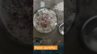 Palak paratha recipe palakparatharecipe food trending viralvideo shorts paratharecipefoodvlog [upl. by Eugenio]