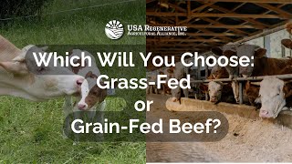 Which Will You Choose GrassFed or GrainFed Beef [upl. by Argus]