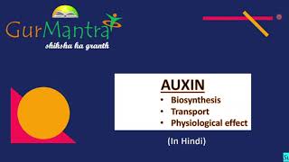 Auxin Biosynthesis  Transport  Physiological Effect  Plant Hormones  GATE XL  Gurmantra [upl. by Elisha]