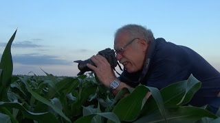 Harlen Persinger AAEA Lifetime Achievement Award [upl. by Ientruoc]