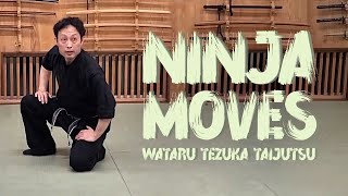 Ninja Moves  Bujinkan honbu dojo Wataru Tezuka Taijutsu [upl. by Arramat]