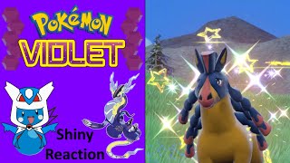 Pokemon Violet Shiny Mudsdale Reaction [upl. by Janot480]