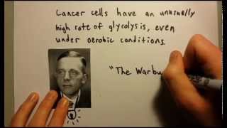 The Warburg Effect Causes and Usefulness for Cancer Diagnosis and Treatment [upl. by Haldi]