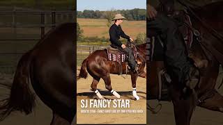 SJ Fancy Star 2020 AQHA Filly  ReiningRanch Horse Prospect congressranchhorsesale reining [upl. by Alrahs]