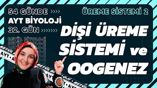 32 Dişi Üreme Sistemi ve Oogenez  Üreme Sistemi  11 Sınıf Biyoloji  2024 AYT Biyoloji 32 Gün [upl. by Nodnek]