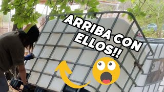 💦 Así ELEVO sola los DEPÓSITOS de mil litros Vlog146 [upl. by Ardnuyek]