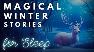 5HRS Magical Winter Stories ❄️ The Coziest Winter Stories for Sleep  Bedtime Stories Compilation [upl. by Olram]