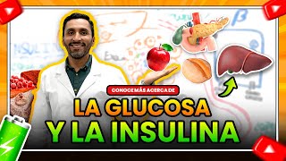 La Glucosa y la Insulina  Dr David Liviac [upl. by Federico]