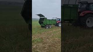 Jetzt gehts los mit dem Pferdemist laden und aufbringen auf dem Feld steyr bergmann [upl. by Francoise947]