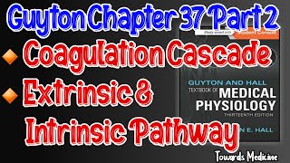 Coagulation cascade  Extrinsic and intrinsic Pathways Guyton Chapter 37 Part 2 [upl. by Ailehpo]