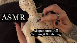 ASMR Gentle Tapping amp Scratching On An Acupuncture Doll No Talking [upl. by Mongeau732]