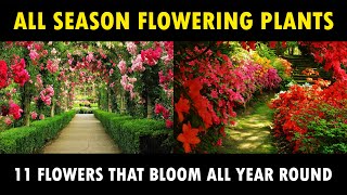 All Season Flowering Plants  Best flower Plants to Grow at Home  Gardening Flower Plants [upl. by Emarie872]