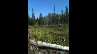 20lb Propane tank explosion with shotgun [upl. by Matland324]