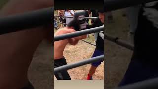 Lil cracra vs Migo BOXING HIGHLIGHT [upl. by Ahsemot826]