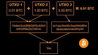 Bitcoin UTXOs Explained [upl. by Rondon]