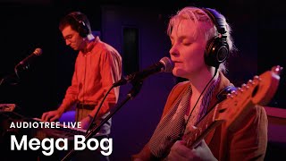 Mega Bog on Audiotree Live Full Session [upl. by Berriman]