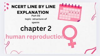 Structure of sperm human reproduction NCERT line by line explanation [upl. by Fleta]