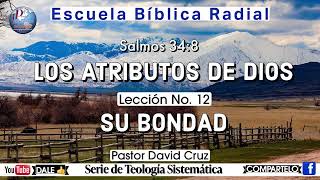 031824  ESCUELA BIBLICA RADIAL  ATRIBUTOS DE DIOS SU BONDAD  PASTOR DAVID CRUZ [upl. by Conte]