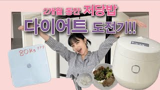 혈당 다이어트 도전기 저당밥으로 맛있게 다이어트하기 다이어트 다이어트식단 홈지오저당밥솥 저당밥 [upl. by Akkire]