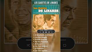 Los Cadetes De Linares MIX Grandes Exitos shorts  Top Latin Music [upl. by Nayhr]