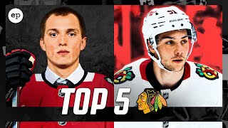 Chicago Blackhawks Top 5 NHL Prospects [upl. by Eelnyl80]