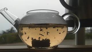 Puerh tea minituo brewing [upl. by Billie]