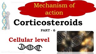 Corticosteroids Part 6  Mechanism of action  Cellular level  Glucocorticoid Responsive Element [upl. by Odlareg]