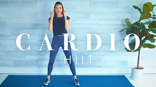 Cardio Kickboxing Workout for Beginners amp Seniors  Low Impact HIIT [upl. by Macy]