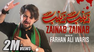 Farhan Ali Waris  Zainab Zainab  Noha  20221444 [upl. by Rosio]