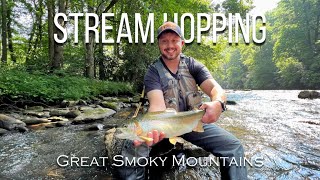 Stream Hopping Fly Fishing CHEROKEE and the SMOKIES in Late Spring  Episode 2 [upl. by Irahcaz29]