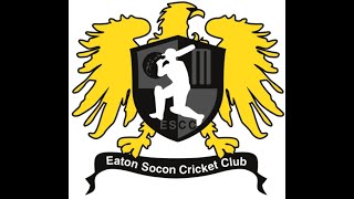 ESCC 2nd XI v Ufford Park  Onyx Div 3  6th July 2024 [upl. by Nishi]