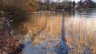 Tutzing am Starnberger See  Kustermann Park [upl. by Kieffer838]