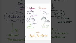 Catract Vs Glucoma  Blurred vision  Sever eye pain  Atropin injection  Mydriatics  Miotics [upl. by Win773]