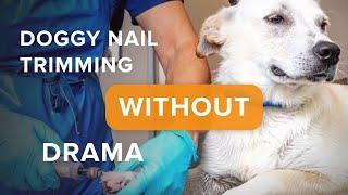 Doggy Nail Trimming Without Drama [upl. by Tai709]