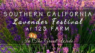 Lavender Festival Day Trip from Los Angeles to 123 Farm [upl. by Kellby]