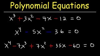 Solving Polynomial Equations By Factoring and Using Synthetic Division [upl. by Aitnyc548]