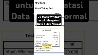 Cara Mengatasi Data Tidak Normal dengan Uji MannWhitney data spss normality alternative excel [upl. by Primavera]